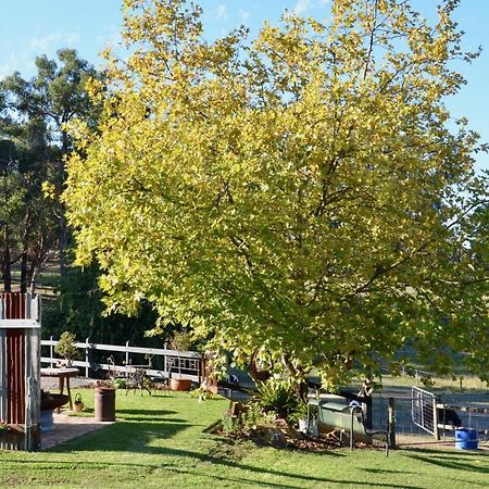The Stables Hotel Wandin North Eksteriør billede