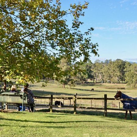 The Stables Hotel Wandin North Eksteriør billede