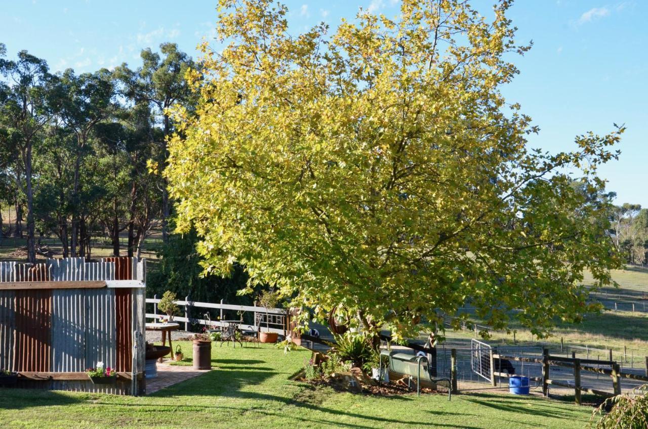 The Stables Hotel Wandin North Eksteriør billede