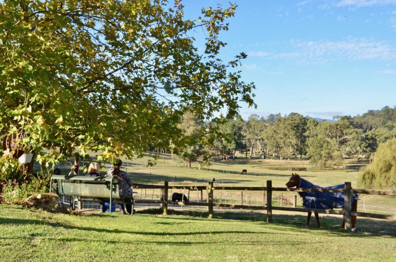 The Stables Hotel Wandin North Eksteriør billede